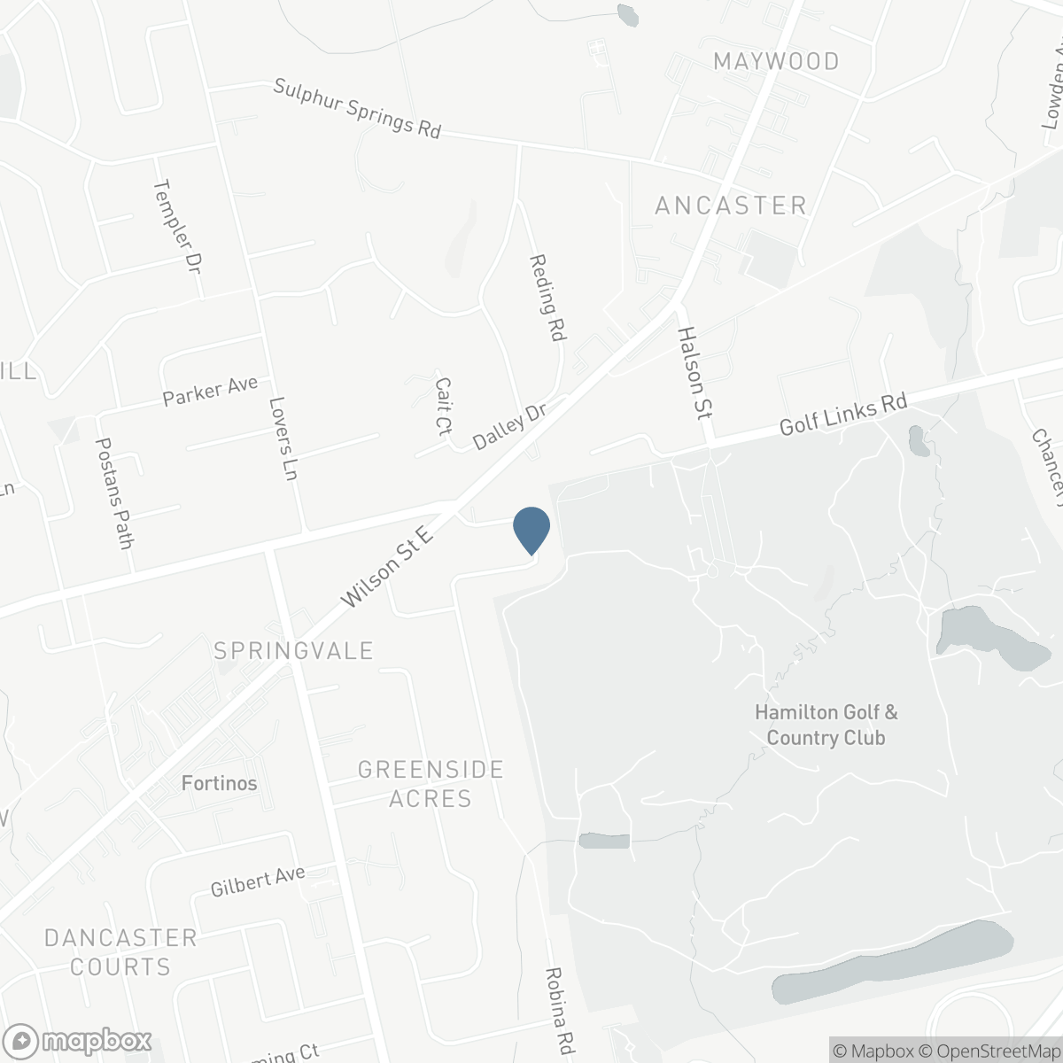 41 CAMERON DRIVE, Ancaster, Ontario L9G 2L4